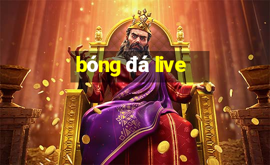 bóng đá live