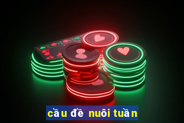 cầu đề nuôi tuần