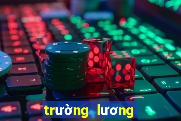 trường lương thế vinh quận 7