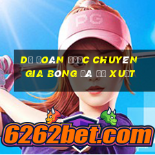 Dự đoán được chuyên gia bóng đá đề xuất