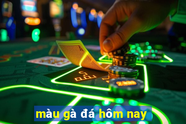 màu gà đá hôm nay