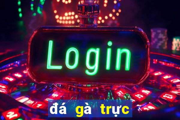 đá gà trực tiếp trên casino