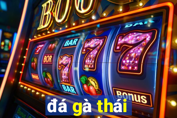 đá gà thái