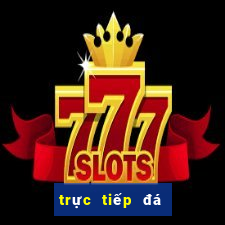 trực tiếp đá gà casino thomo