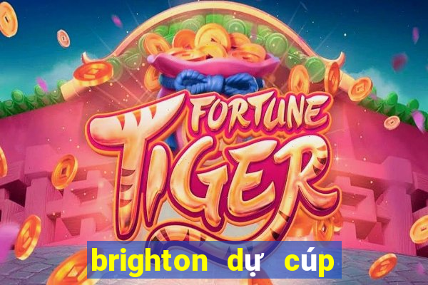 brighton dự cúp châu âu