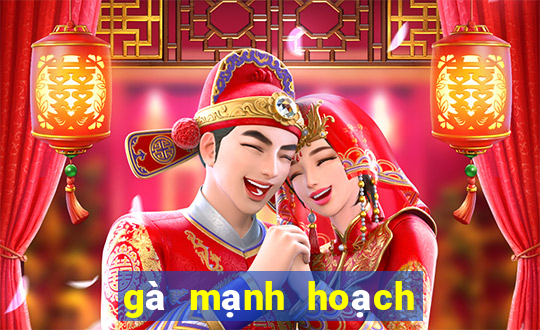 gà mạnh hoạch từ sơn