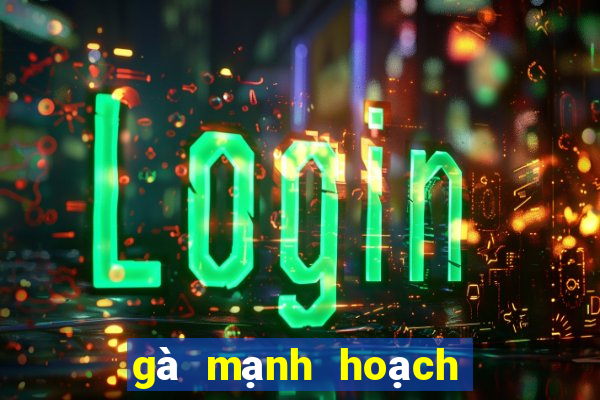 gà mạnh hoạch từ sơn