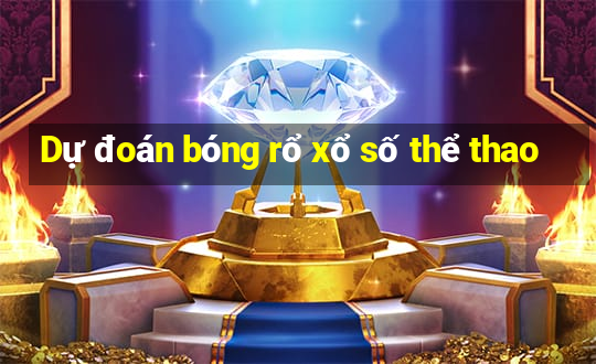 Dự đoán bóng rổ xổ số thể thao