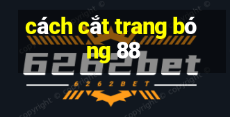 cách cắt trang bóng 88