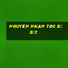 nguyên nhân tóc bị bết