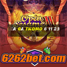 đá gà thomo 6 11 23