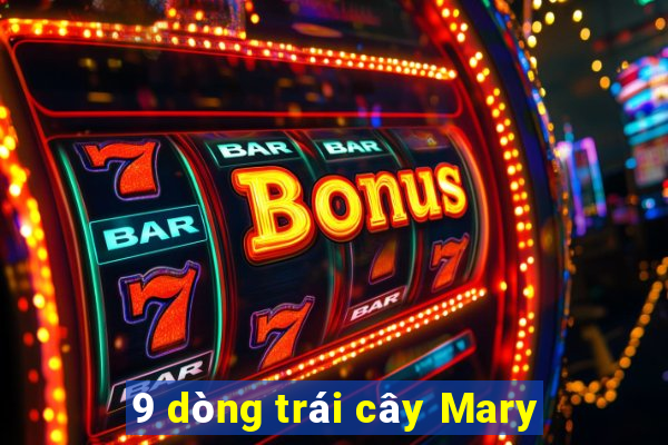 9 dòng trái cây Mary