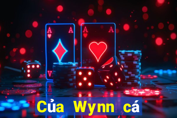 Của Wynn cá cược Việt nam