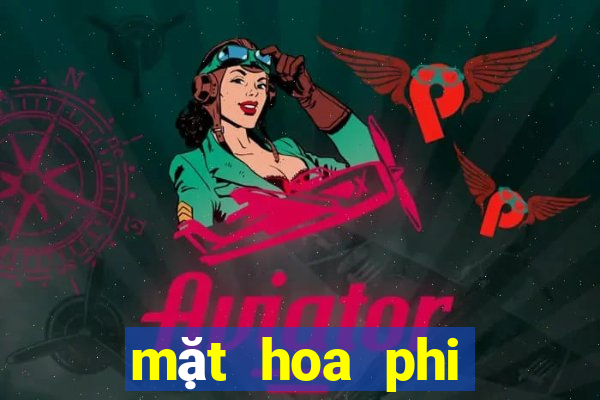 mặt hoa phi điệp bệt