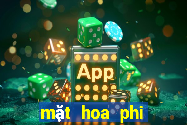 mặt hoa phi điệp bệt