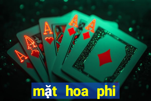 mặt hoa phi điệp bệt