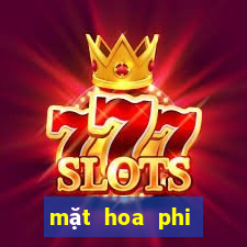 mặt hoa phi điệp bệt