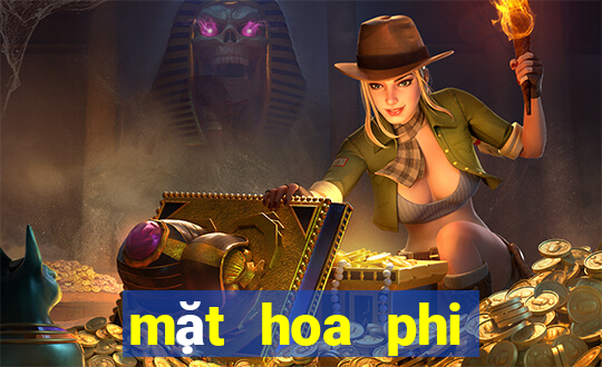 mặt hoa phi điệp bệt