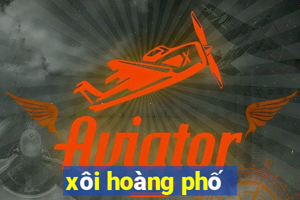 xôi hoàng phố