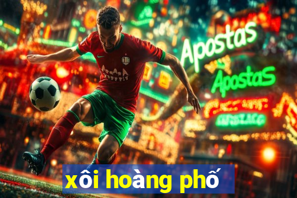 xôi hoàng phố