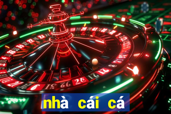 nhà cái cá cược vnloto