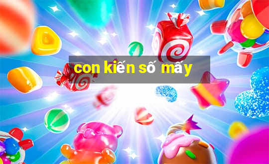 con kiến số mấy