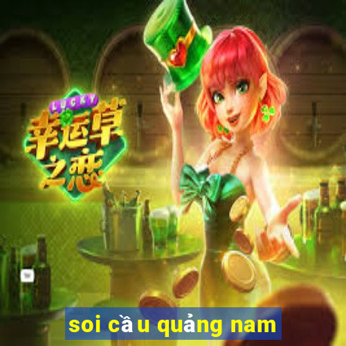 soi cau quang nam