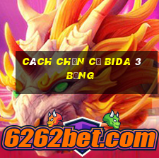 cách chọn cơ bida 3 băng