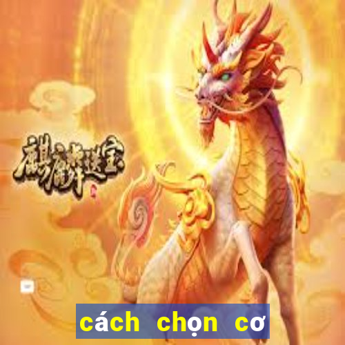 cách chọn cơ bida 3 băng