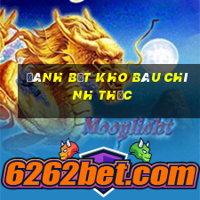 Đánh bắt kho báu chính thức