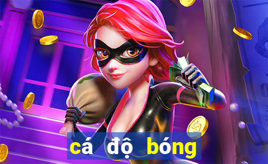 cá độ bóng đá one