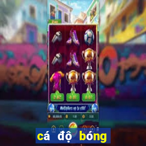 cá độ bóng đá one