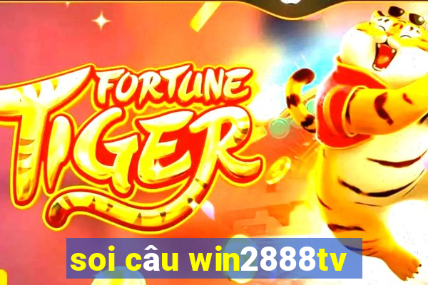 soi câu win2888tv