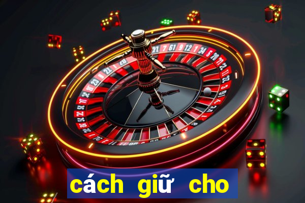 cách giữ cho tóc không bị bết