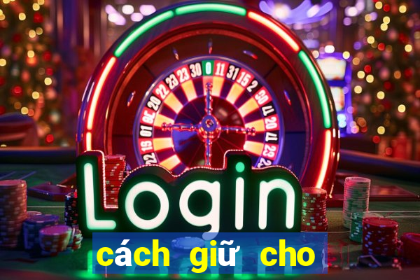 cách giữ cho tóc không bị bết