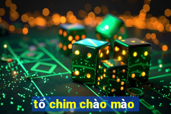 tổ chim chào mào