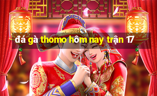 đá gà thomo hôm nay trận 17