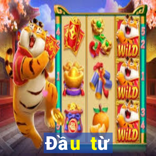 Đầu từ Baccarat lừa đảo