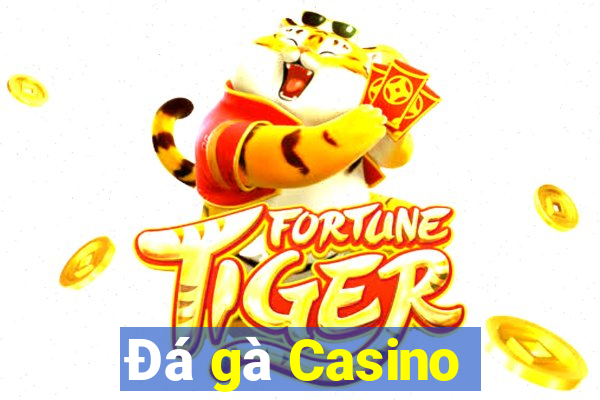 Đá gà Casino