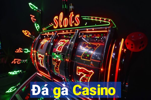 Đá gà Casino