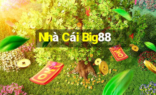 Nhà Cái Big88