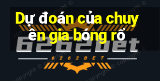 Dự đoán của chuyên gia bóng rổ