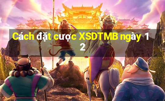 Cách đặt cược XSDTMB ngày 12