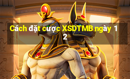 Cách đặt cược XSDTMB ngày 12