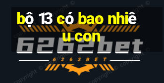 bộ 13 có bao nhiêu con