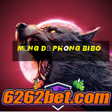 Mạng dự phòng Bibo