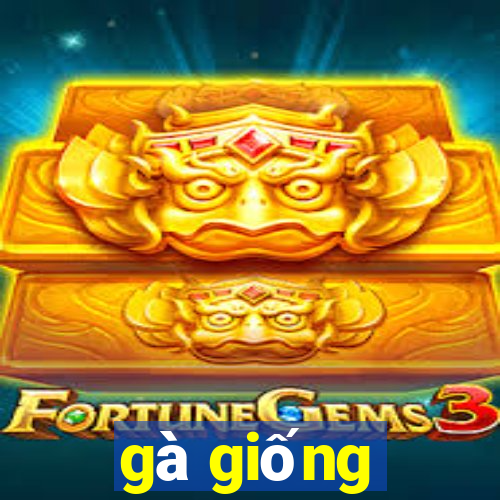 gà giống