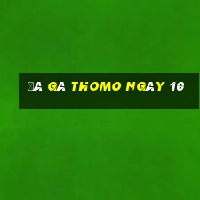 đá gà thomo ngày 10