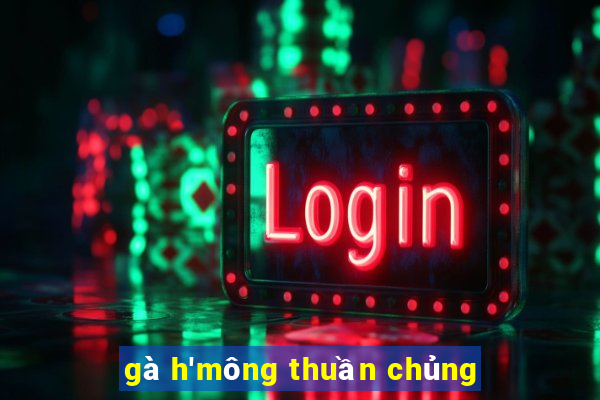 gà h'mông thuần chủng