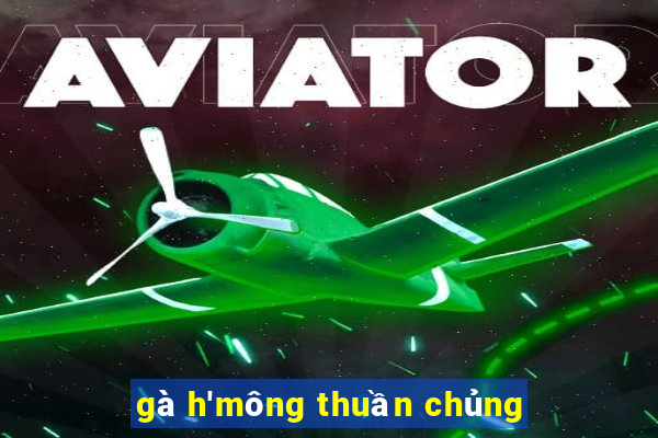 gà h'mông thuần chủng